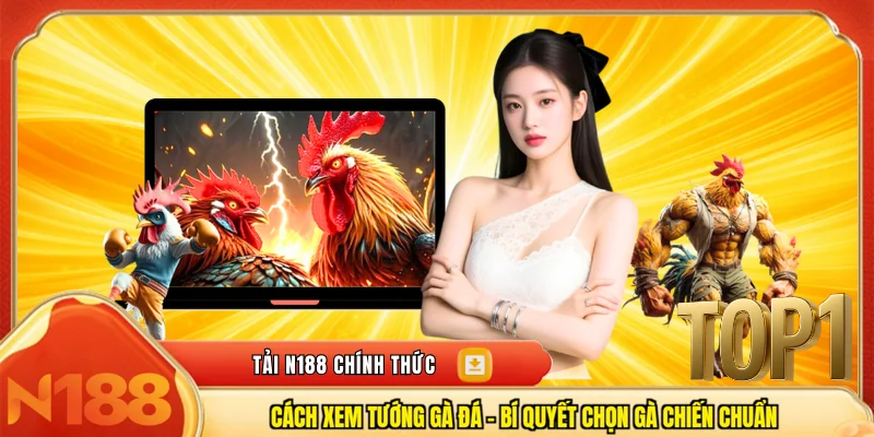 Cách xem tướng gà đá
