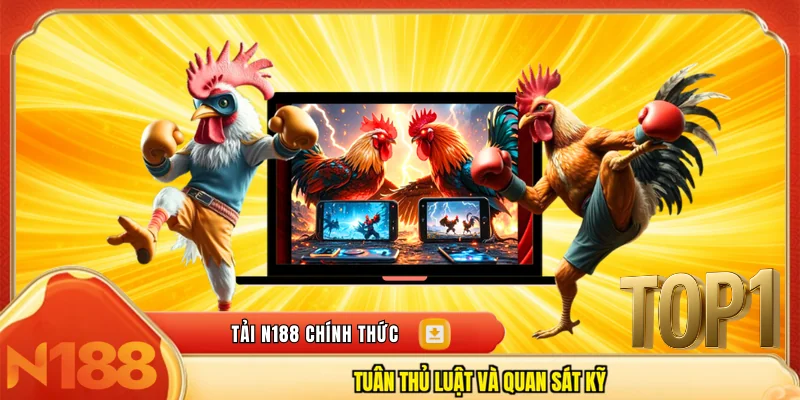 Tuân thủ luật và quan sát kỹ 